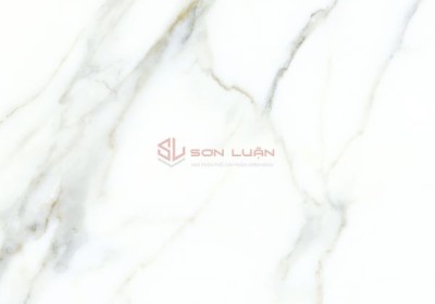 Gạch Ốp Lát APODIO 66161001